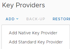 vCenter - add native Key Provider